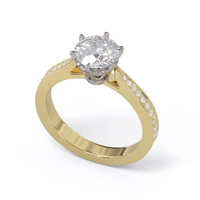 A round brilliant diamond solitaire ring with pave diamonds down the band, set in a platinum on a yellow gold band.