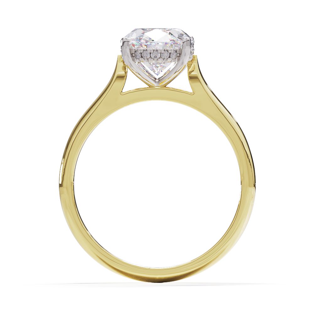 An oval solitare engagement ring with a halo of round pave diamond. Set in a platinum setting on a yellow gold band.
