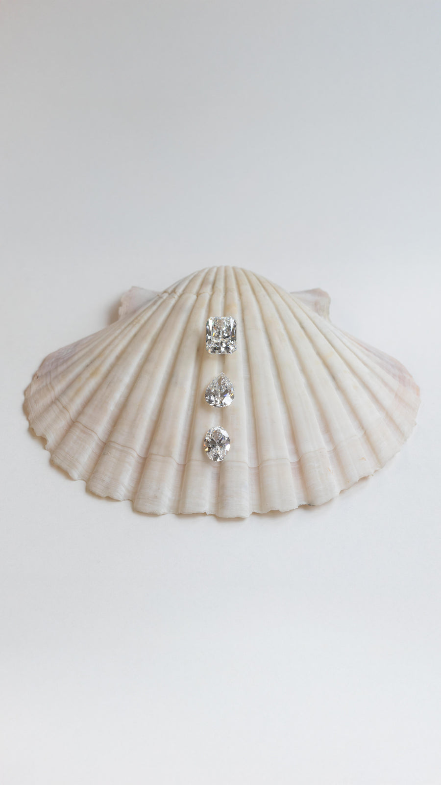 Large diamonds placed on a shell. Auckland, New Zealand 